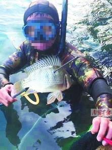 鱼爆料的视频大全播放网站,海量热门视频一网打尽