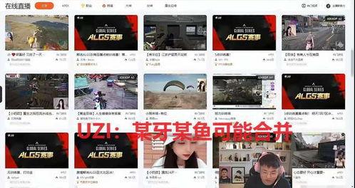 鱼爆料的视频大全播放网站,海量热门视频一网打尽