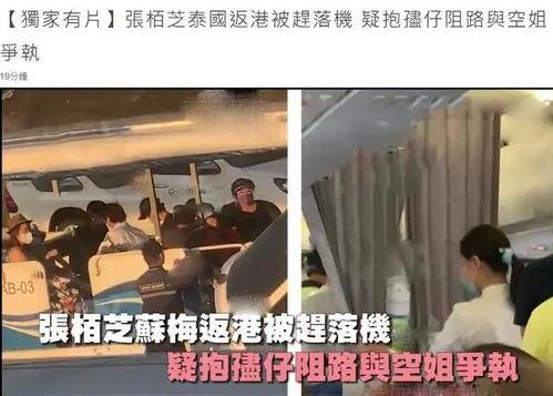 飞哥爆料农村事情视频,农村生活那些事儿
