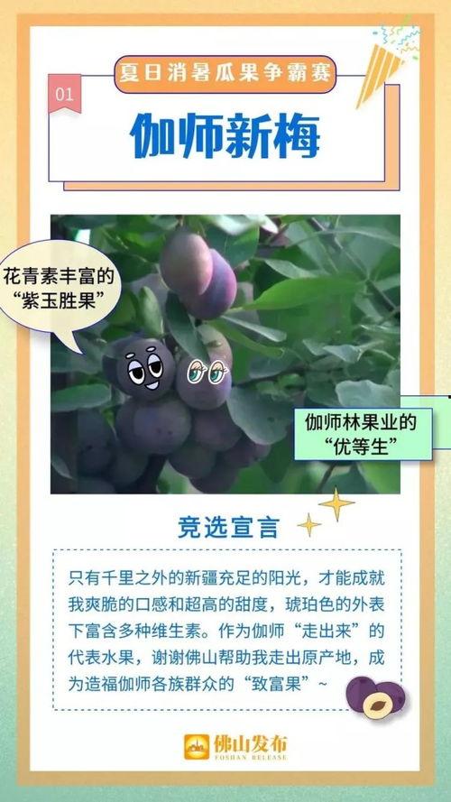 顶流吃瓜小说全文阅读免费,娱乐圈风云再起，揭秘明星背后的秘密
