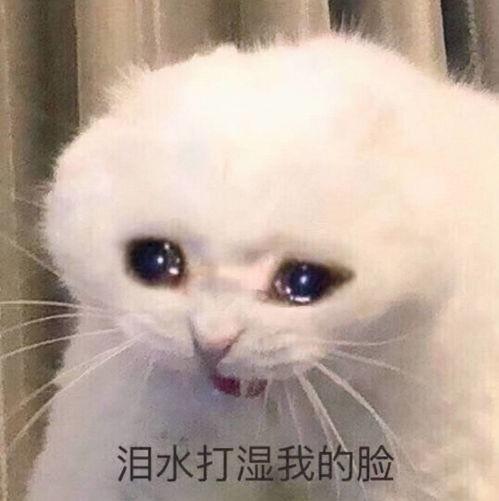 网红吃瓜表情包,趣味横生的网络文化现象