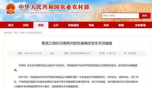 最新江苏爆料消息新闻,揭秘神秘事件背后的真相