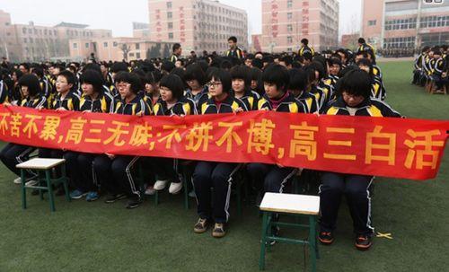 清江中学爆料新闻事件,揭秘校园事件背后的真相