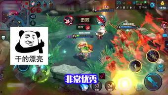 王者爆料帷幕在哪看啊视频,帷幕位置视频攻略，轻松找到隐藏宝藏！