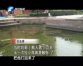 五华目击现场爆料视频,惊心动魄一幕，视频揭露惊人真相