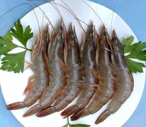 养殖对虾爆料方法图片视频,养殖对虾的爆料技巧与视频解析