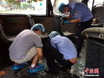 杭州临安偷拍爆料事件最新,隐私边界与网络曝光的较量
