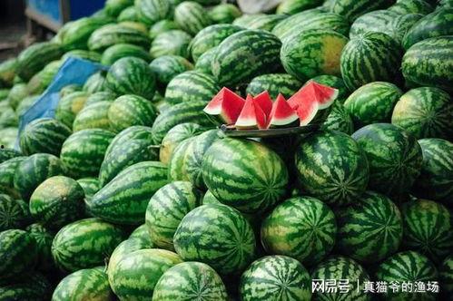 爱慕在线西瓜观看,西瓜视频带你畅享浪漫时光