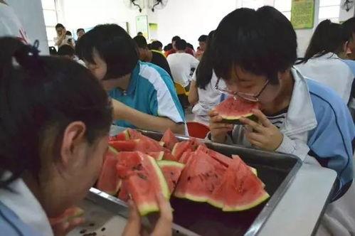 娱乐吃瓜酱服饰监督员,娱乐吃瓜酱服饰监督员揭秘时尚圈幕后故事