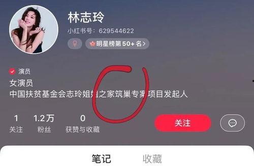 桃花坞爆料辟谣视频,辟谣背后的故事