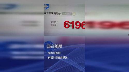 啄木鸟师傅爆料视频,视频爆料背后的惊人真相