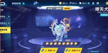 qq飞车最新秘境宠爆料,全新神秘伙伴即将降临