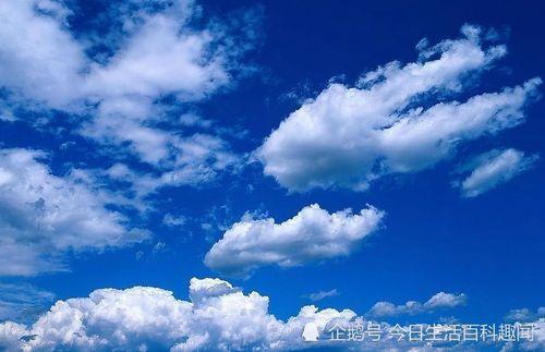 西安蓝天白云爆料事件视频,视频揭秘背后的真相