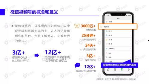 网红吃瓜跳舞视频大全下载,潮流娱乐盛宴，一键下载收藏