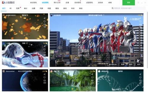 小鸟全网爆料视频下载,揭秘小鸟爆料视频下载全攻略