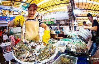 海鲜工厂爆料怎么做视频,揭秘视频制作背后的秘密