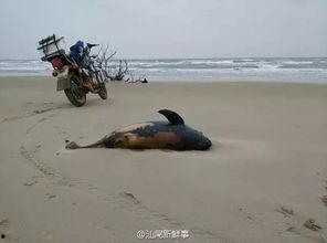 汕尾市东海县新闻爆料网,聚焦民生热点，传递社会声音