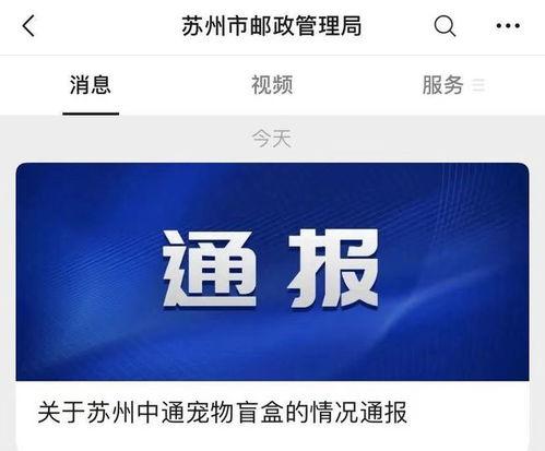 酷酷的鑫最新爆料盲盒,盲盒界的神秘新宠，带你领略酷炫潮流！