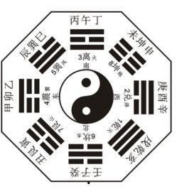 最新点赞量最高八卦爆料,点赞量爆表，神秘八卦事件真相揭晓！