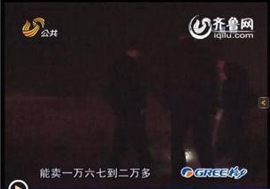 花哥爆料截图视频大全集,视频大全集深度解析，揭秘幕后真相