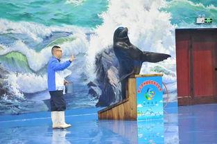 海洋最新爆料,揭秘海洋最新发现与奇观
