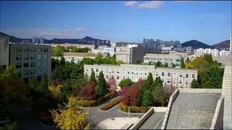 大连海霸大学最新爆料新闻,揭秘校园风云事件内幕