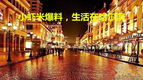 哈尔滨爆料最新消息新闻,突发事件引发社会关注