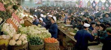 长春菜市场爆料视频,新鲜食材与人间烟火气交织