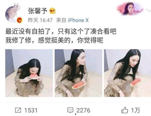 网曝免费吃瓜,快来一探究竟！