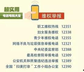 朝阳新闻爆料电话号码,拨打这个号码，掌握最新资讯动态