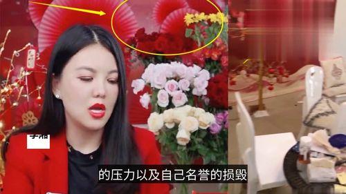 新疆明星爆料视频大全最新,揭秘明星幕后故事与精彩瞬间