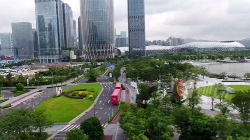 深圳湾网红最新爆料视频,揭秘网红圈幕后真相！