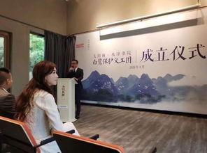 爆料台湾林志玲视频播放,网友热议