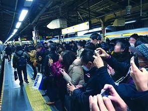 电车事件最新爆料新闻,最新爆料揭露惊人内幕