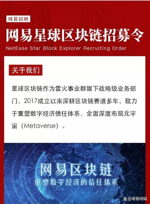 星球研究所今日爆料,探寻宇宙奥秘的神秘星球