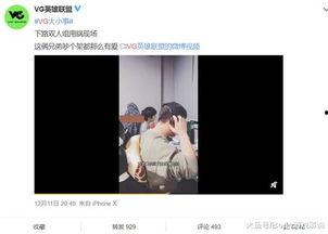 申鹤爆料视频,神秘事件背后的惊人真相