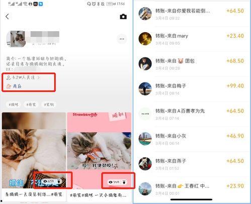 爆料卖货视频怎么做好看,打造吸睛卖货短视频的五大秘诀