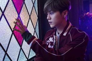 鹿晗爆料视频大全下载,揭秘明星幕后故事