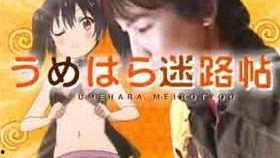 迷路帖在线观看,探寻未知世界的神秘之旅