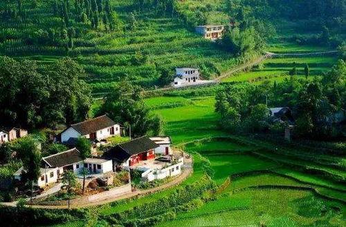 乡村美景大爆料视频,视频带你领略田园风光无限