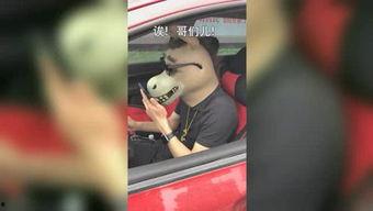 驴哥前妻爆料视频,揭秘婚姻背后的惊人真相