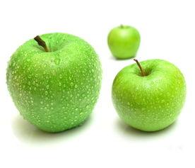 免费下载吃瓜神器苹果版,轻松掌握热门资讯，畅享娱乐盛宴