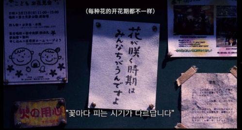 娱乐游戏爆料文案范文怎么写,独家爆料带你领略游戏世界新篇章