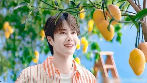 娱乐大爆料王一博王安宇,娱乐大爆料背后的精彩故事