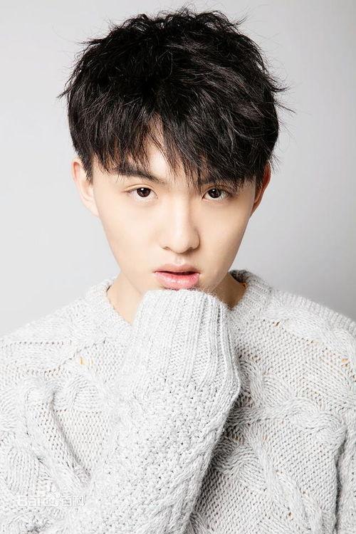 郑伟爆料视频播放大全,揭秘事件背后真相