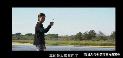 美国电影手机在线观看,美国电影在线观影之旅