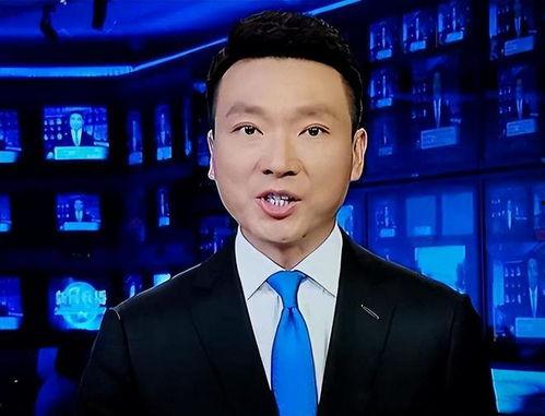 石家庄学区爆料新闻联播,教育资源优化与区域发展新篇章