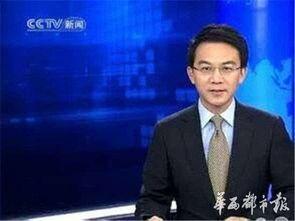 石家庄学区爆料新闻联播,教育资源优化与区域发展新篇章