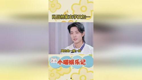 日娱圈内爆料肖战杨紫是真的吗,日娱圈内爆料真实性揭秘