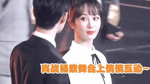 日娱圈内爆料肖战杨紫是真的吗,日娱圈内爆料真实性揭秘